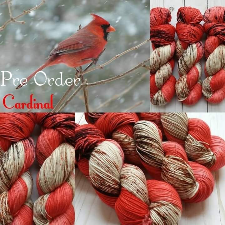 PRE ORDER | CARDINAL| SHIPS NOVEMBER 8, 2024